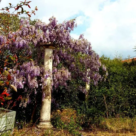 Katia's Attic Πανσιόν